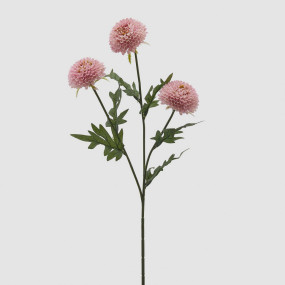 Dalia Rosa - 64cm